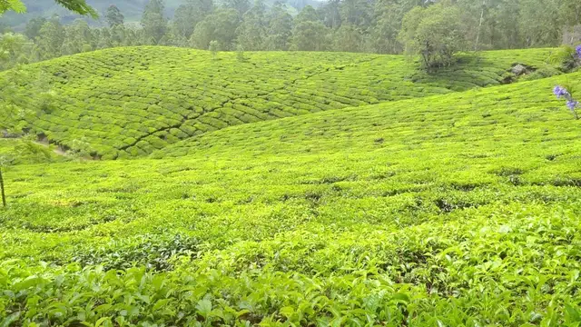 Where to Stay in Assam