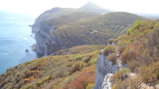 Day Trips from Setubal