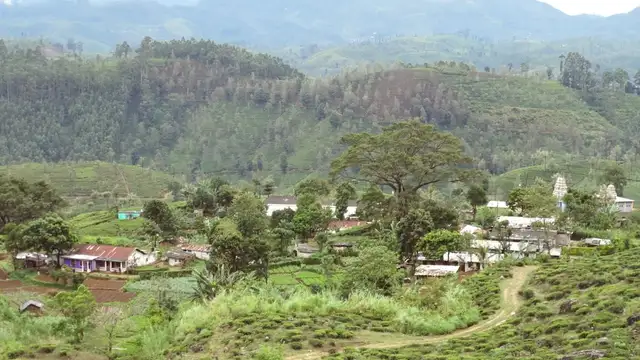 Kandy Travel Guide Overview