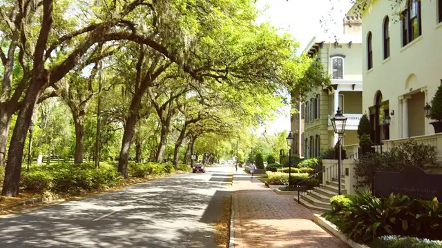 Sustainable Travel in Savannah