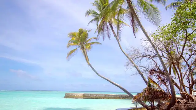 Best Time to Visit Maafushi