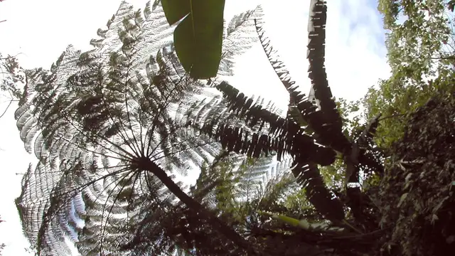 Where to Stay in Sandakan