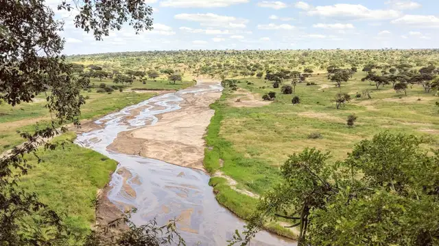 Getting Around Arusha