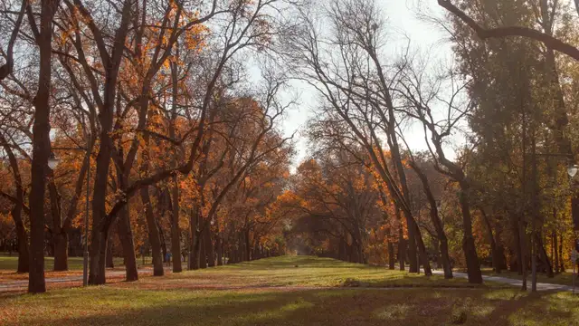 Where to Stay in Lodz