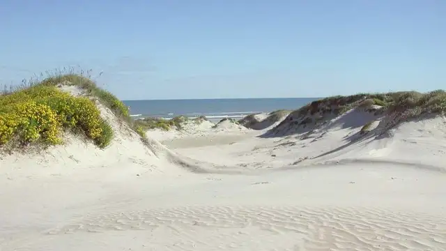 Why Visit Padre Island? Inspiration, Culture, Unique Experiences