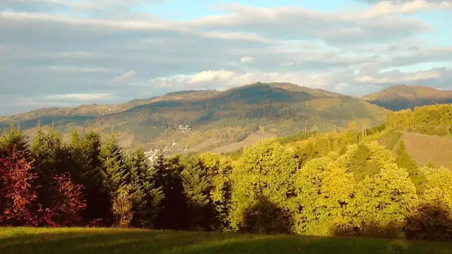 Freiburg Travel Hacks