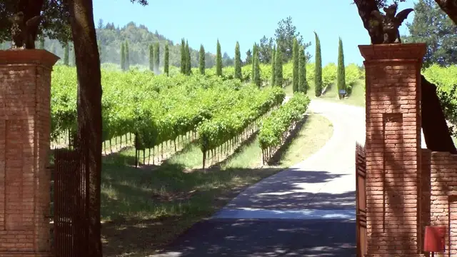 Napa Valley Travel Guide Overview