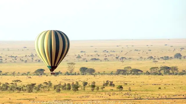 Things to Do in Serengeti National Park