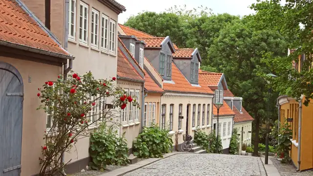 Sustainable Travel in Odense