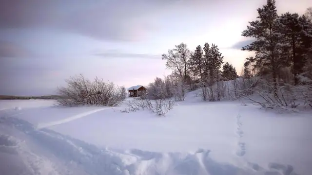 What to Pack for Inari