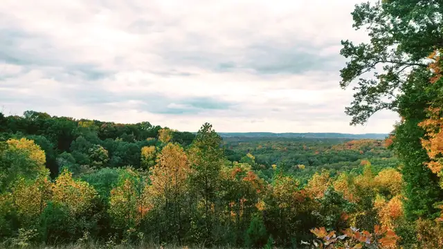 Brown County Travel Tips