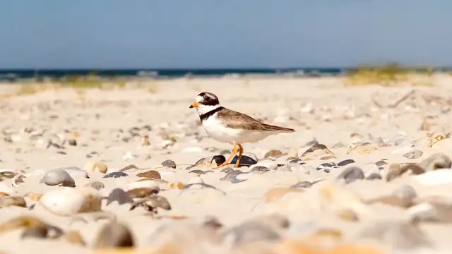 Best Restaurants in Burundi