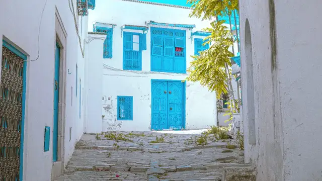 Tunis Travel Resources