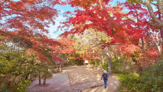 Best Time to Visit Hachioji