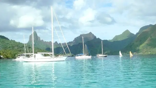 Best Time to Visit Moorea