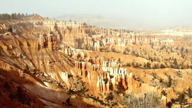 Best Restaurants in Bryce Canyon National Park