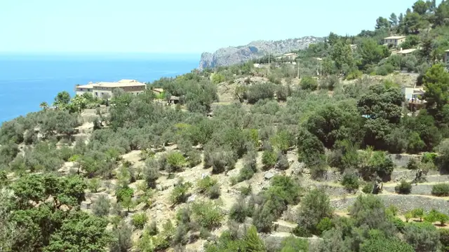 Soller Travel Checklist