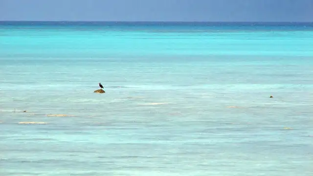 Sustainable Travel in Havelock Island