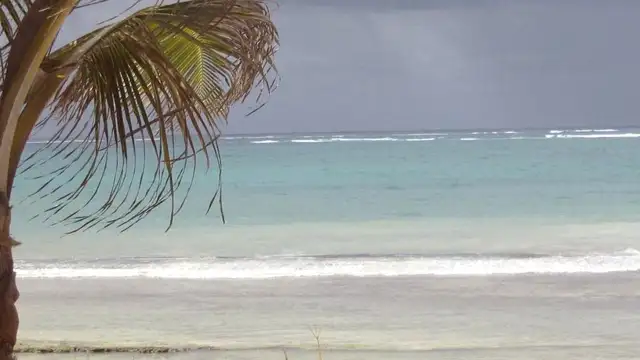 Why Visit Diani Beach? Inspiration, Culture, Unique Experiences