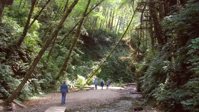 Why Visit Redwood Coast? Inspiration, Culture, Unique Experiences
