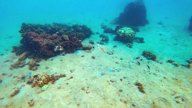 What to Pack for Tuamotu Islands