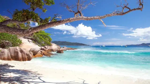 Bird Island Travel Resources