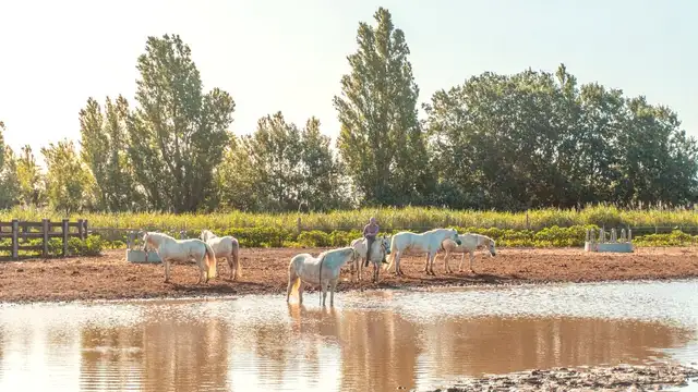 What to Pack for Camargue