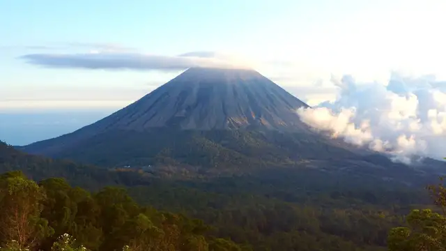 How to Get to Flores