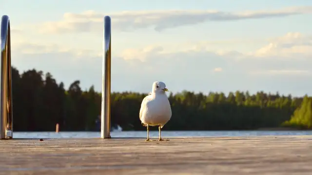 Tampere Travel Resources