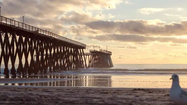 Best Restaurants in Tijuana