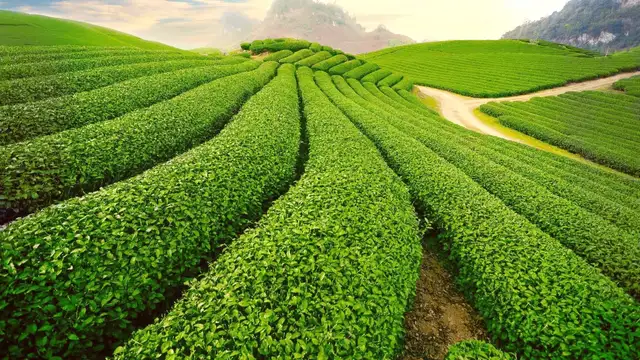 Day Trips from Thai Nguyen