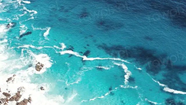 Port Elizabeth Travel Guide Overview