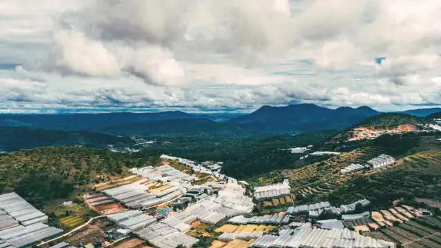 Dalat Travel Resources