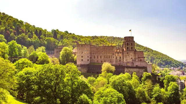 How to Get to Heidelberg