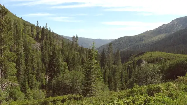 Best Restaurants in Gold Country