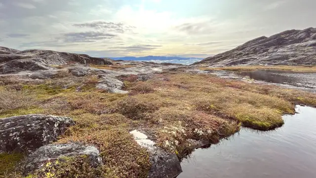 Best Restaurants in Ilulissat