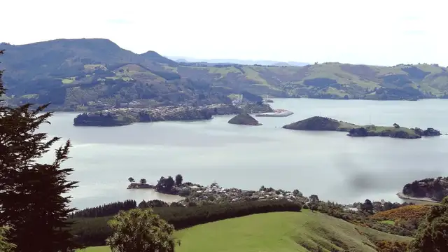 Best Restaurants in Dunedin