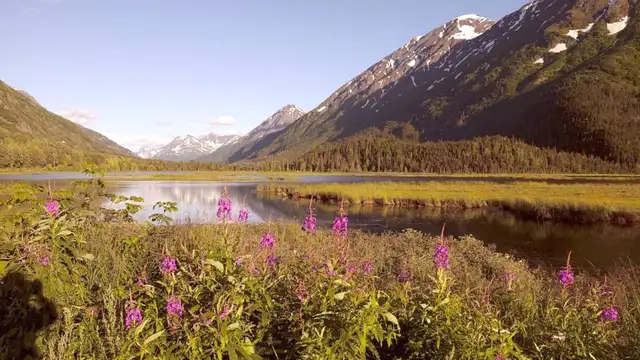 Famous Landmarks in Seward