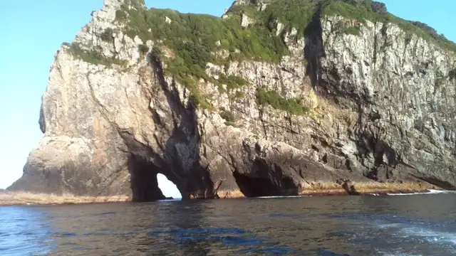 Sustainable Travel in Bay of Islands