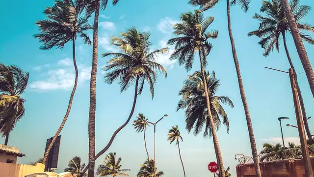 Best Time to Visit Lome