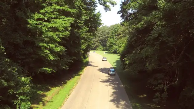 Sustainable Travel in Williamsburg