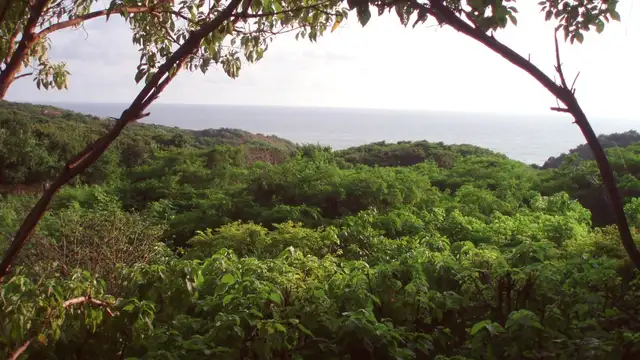 How to Get to Mazunte