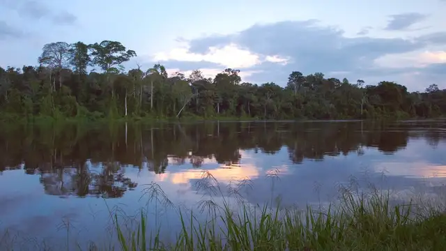 What to Pack for Suriname