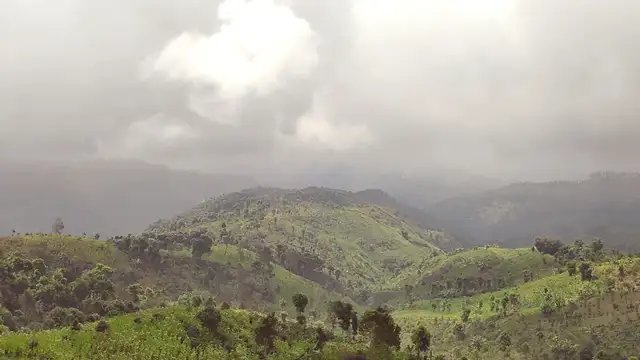 Where to Stay in Situbondo