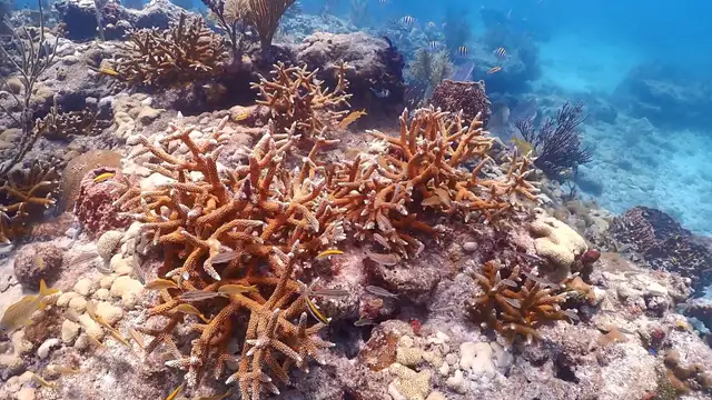 Destination Sint Eustatius