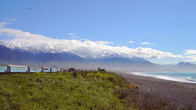 Kaikoura Travel Hacks
