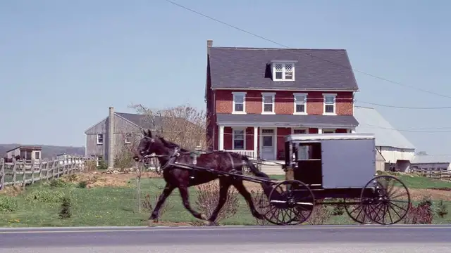 Why Visit Amish Country? Inspiration, Culture, Unique Experiences