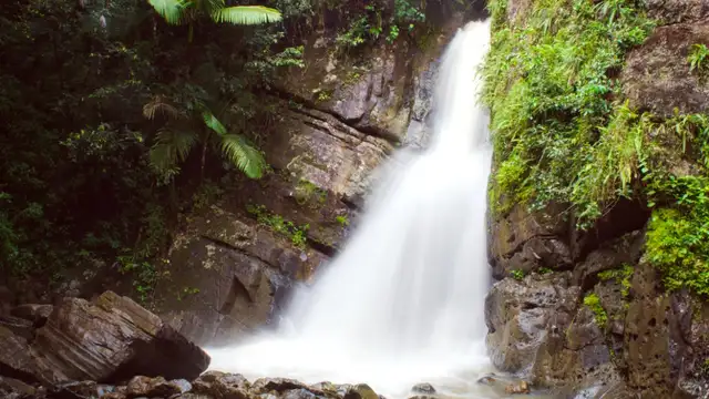 El Yunque National Forest Travel Guide Overview