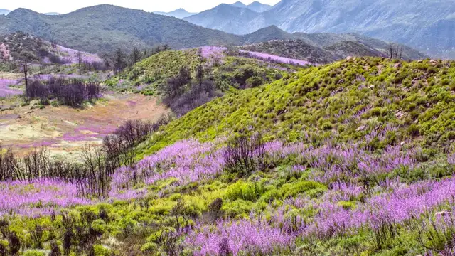 Best Time to Visit Manaus