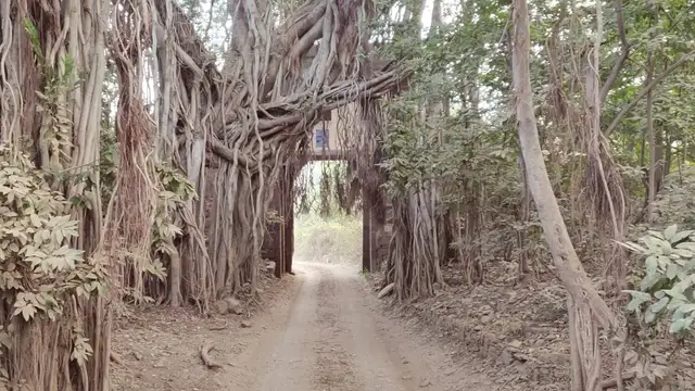 Getting Around Ranthambore National Park